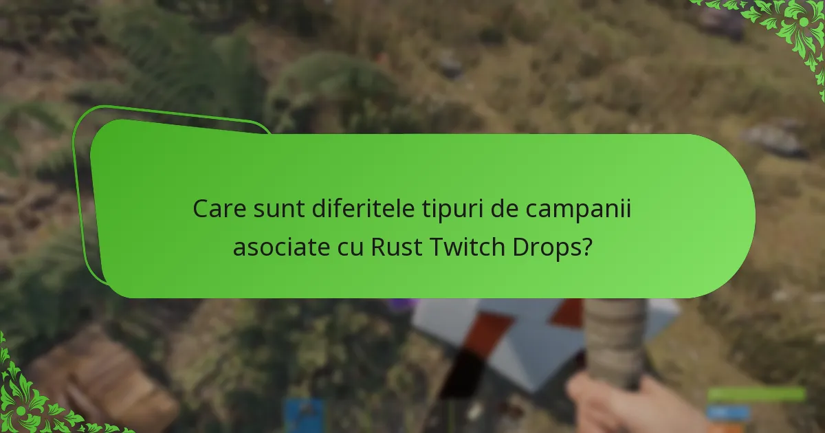Care sunt diferitele tipuri de campanii asociate cu Rust Twitch Drops?